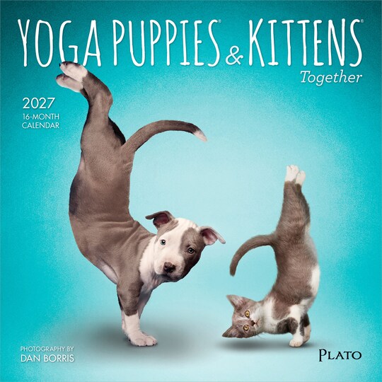 Plato; Yoga Puppies & Kittens Together OFFICIAL | 2027 7 x 14 Inch (Hanging) Monthly Mini Wall Calendar; Category:Wall Calendars; Image:1